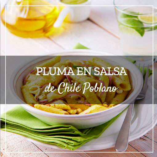 Pluma en Salsa de Chile Poblano