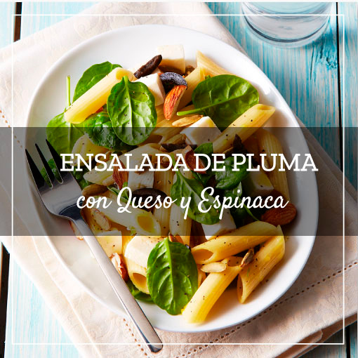 Ensalada de Pluma con Queso y Espinaca